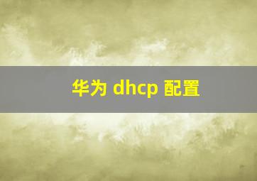 华为 dhcp 配置